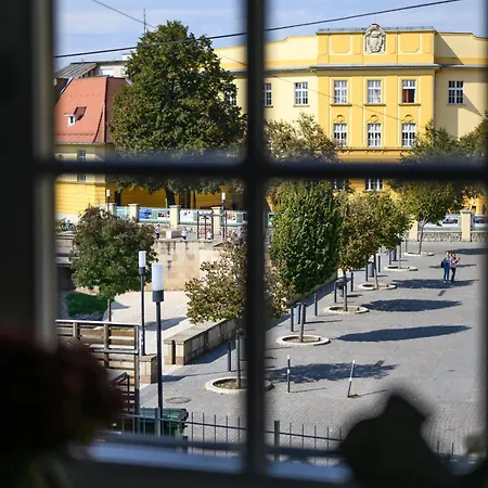 Apartament Zengo